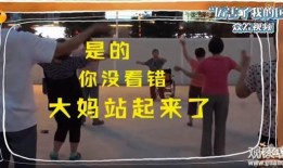 正大家之梦最新爆料事件,揭秘背后惊人真相